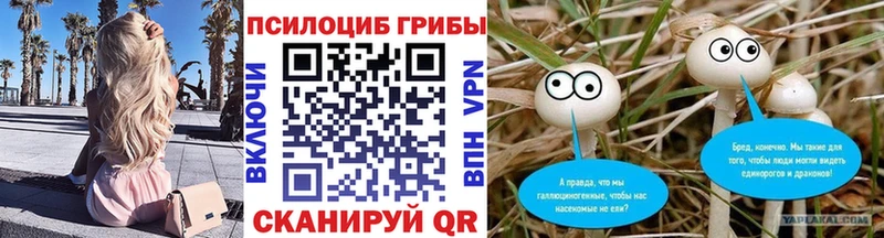 blacksprut ссылки  Краснослободск  Галлюциногенные грибы Magic Shrooms 