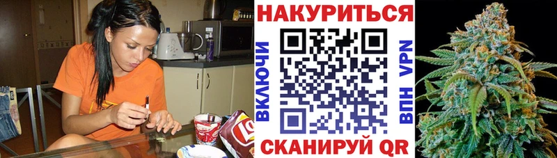 купить наркоту  Краснослободск  Конопля ГИДРОПОН 